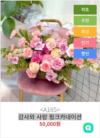 감사와 사랑 핑크카네이션